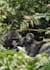 write engaging blogs about uganda, travel, lifestyle and relationships