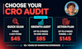 do a landing page audit and conversion rate optimization