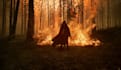 do visual effect, fire explosion, special effects, vfx fire effects for film