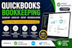 do USA and UK based quickbooks online setup, cleanup, excel bookkeeping