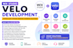 develop studio with wix velo code, databbase and API integration