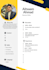 write a professional executive resume and CV design