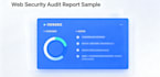 perform website security audit and vulnerability risk assessment