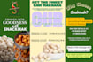 design professional flyers, brochures and promotional graphics