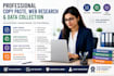 do professional copy paste web research and data collection