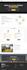 fix wix studio website bugs, wix velo, wix code, and wix databases