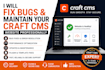 fix bugs and maintain your craft cms website professionally