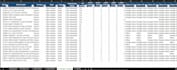 do excel data entry, formatting and convert excel to PDF