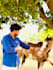 do colour correction and image editing