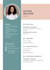 professional resume writing and updating