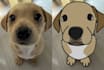 draw your pet as a silly cartoon
