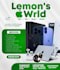 design a business flyer for you
