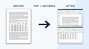 convert PDF to word or excel accurately