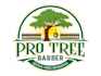design a professional tree, nature, forest and eco logo