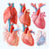 create medical infographic vector designs
