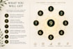 provide a personalized numerology reading