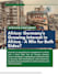 design professional canva infographics