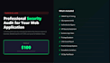do a professional web application security audit