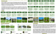 design 3d building terrain,golf course layout,site model from google map,fairway