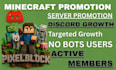promote minecraft server promotion, dayz, rust, fivem, gaming server,discord ads