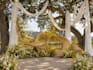 design a custom event decor mockup for your celebration