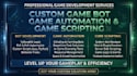develop a custom game bot, game automation, and game scripting