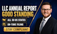 file your llc annual report and maintain good standing