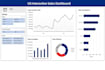 create a professional excel dashboard and sales report