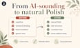 proofread and humanize your ai generated polish content