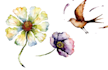 create watercolor and digital illustrations