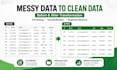 clean,organize and format your excel or CSV data