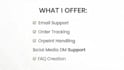 provide customer support services