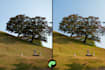 do a clean edit of raw photos using lightroom classic