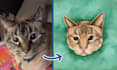 draw your pet in watercolor style