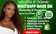 do whatsapp marketing, bulk messaging, whatsapp mass dm