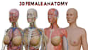 create realistic 3d medical animation video