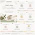 logo and social media design