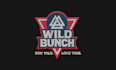do professional embroidery digitizing for logo dst pes