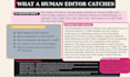 humanize rewrite edit and fact check content