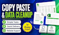 do simple online tasks, copy paste and data cleanup