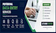 do  data entry, copy paste and excel data typing