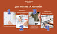 provide professional design consultation and advice