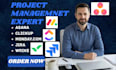 setup asana, clickup, monday, jira, wrike project management, and automation