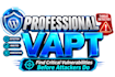 conduct website penetration testing and offer security measures