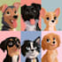 pet portrait into cute disney style