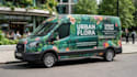 design professional vehicle wrap design