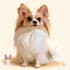 pet portrait into cute disney style