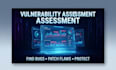 do web application security audit and penetration tasting