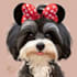 pet portrait into cute disney style