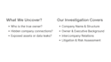 do osint investigation and digital exposure audit